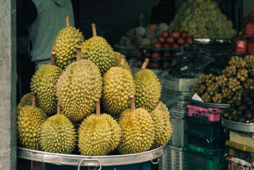 Exotische Früchte: Durian
