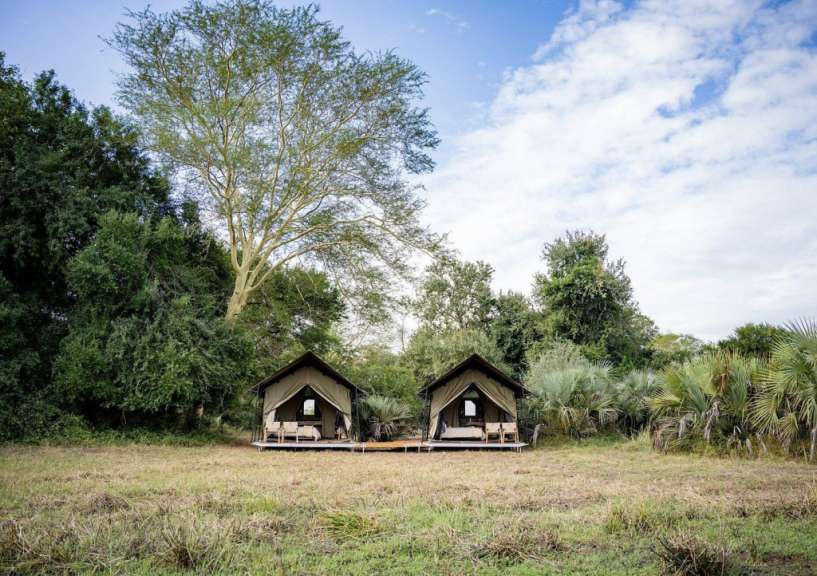 Im Herzen des Gorongosa: mobiles Buschcamp