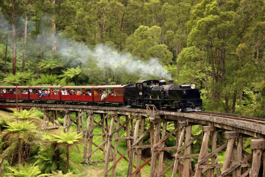 Historische Schmalspurbahn: Puffing Billy