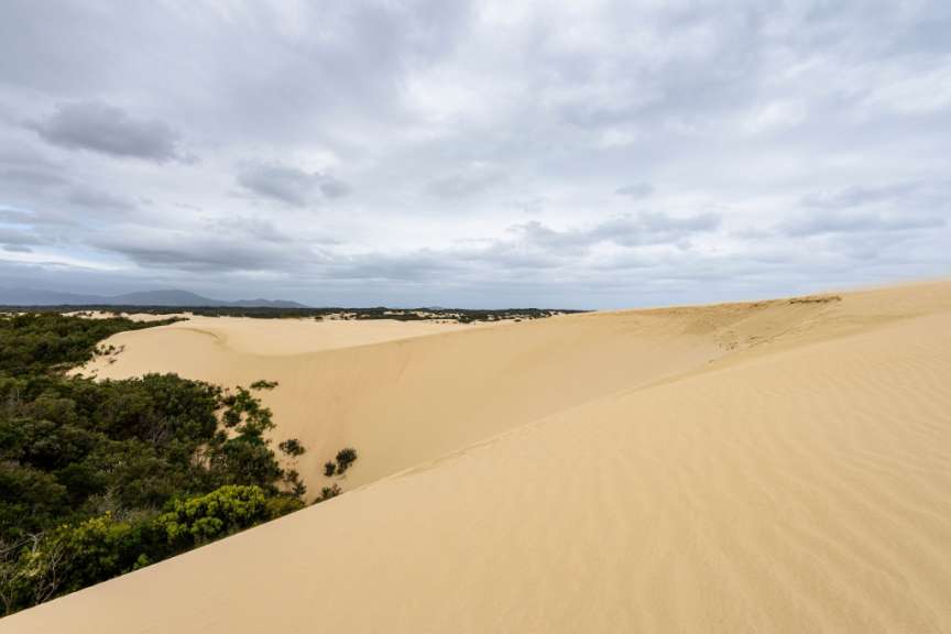 Dunes of the Big Drift