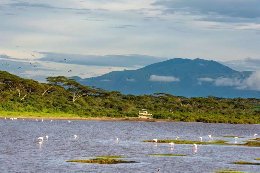 Anziehungspnkt für große Herden: Lake Ndutu