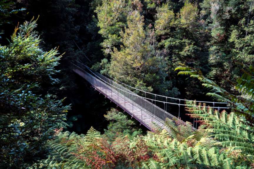Corrigan Suspension Bridge: Tarra-Bulga National Park