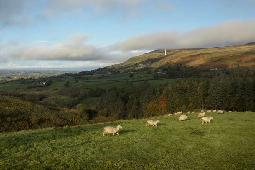 Donald's Hill in County Derry