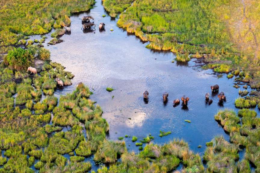 Charter Flug über das Okavango Delta