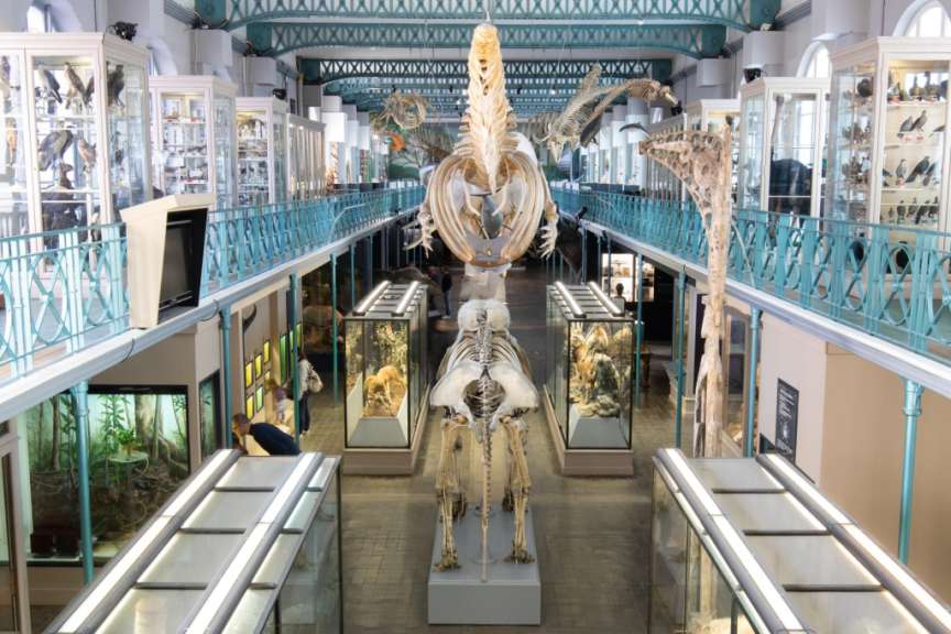 Naturkundemuseum im neoklassizistischen Gebäude