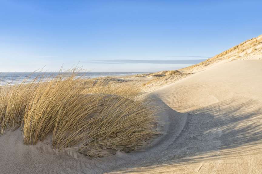 Strand bei Hvide Sande