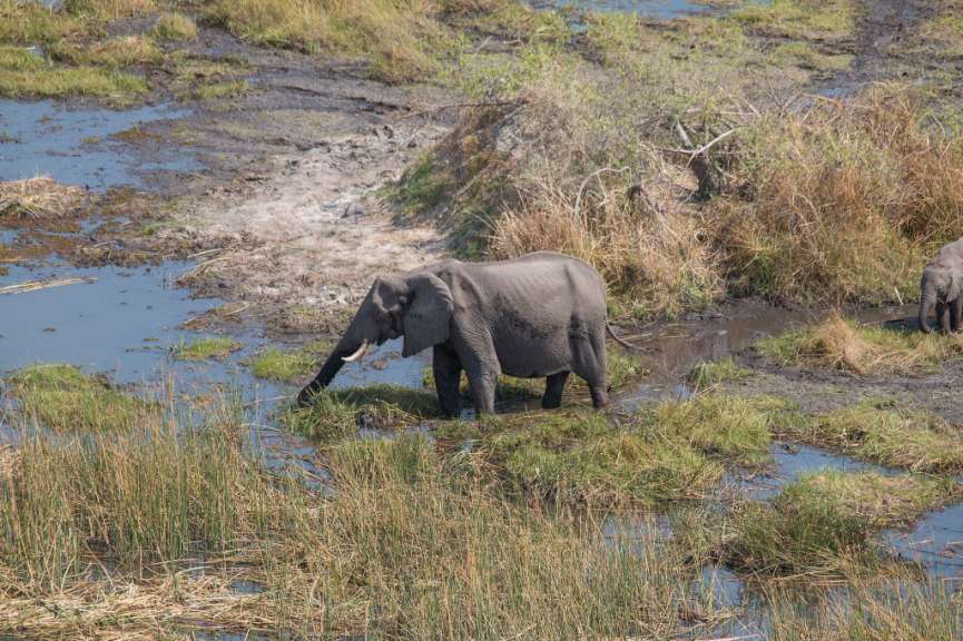Flug über das Delta