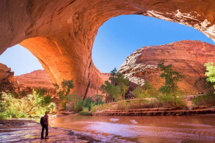 Grand Staircase-Escalante National Monument: Coyote Gulch