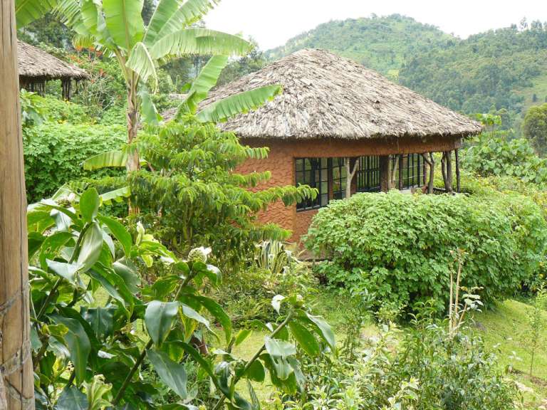 Aus Lehm und Stroh: Mahogany Springs Lodge