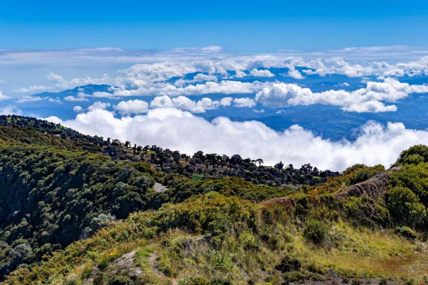 Wälder und Vulkane: Zentrales Hochland