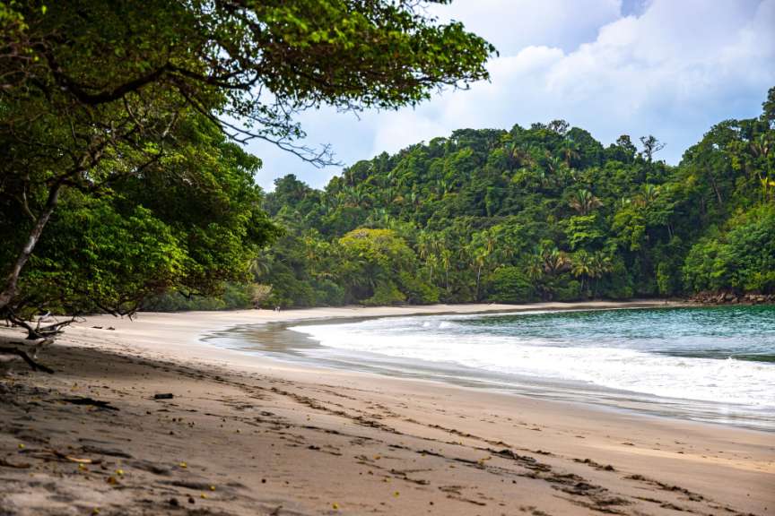 Fantastische Artenvielfalt: Manuel Antonio Nationalpark