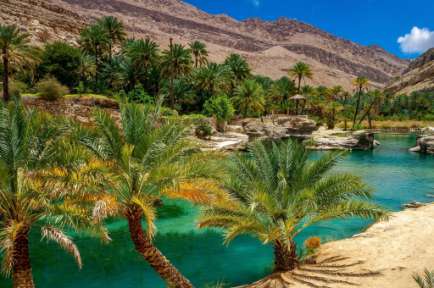 Desert Oasis Oman