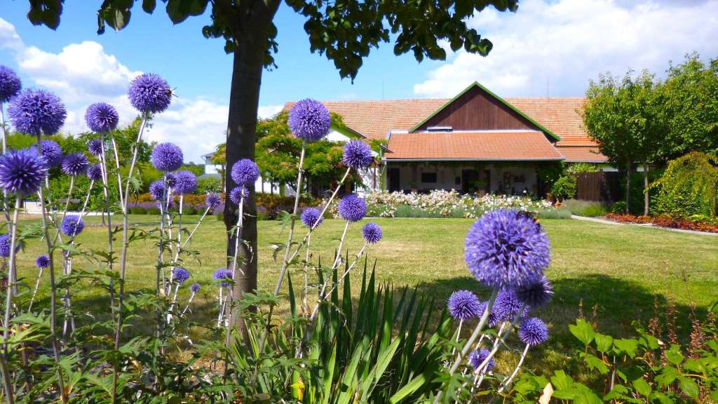 stilvoll umgebaut: ehemalige Getreidescheune in Tiszaderzs