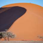 außergewöhnliche Formen: Dune 45