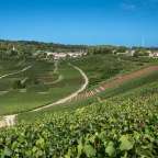 Geburtsort des Champagners: Weinberge um Hautvillers