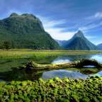 gewaltige Urlandschaft: Milford Sound in den Fjordlands