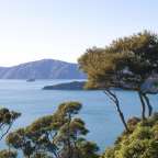 zauberhafte Wasserlandschaft: Queen Charlotte Sound