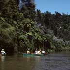 Eldorado für Kanuten: Whanganui River im Nationalpark