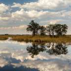 Wo Land und Wasser sich treffen: Moremi Wildlife Reserve