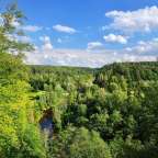 Wälder, Beeren und ein mäandrierender Bach: Amata-Tal