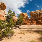 an der Hole in the Rock Road: Devil's Garden