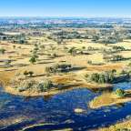 Savanne zwischen Sümpfen: Chief's Island