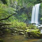 Hopetoun Falls im Great Otway National Park