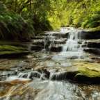 guter Platz für ein Picknick: Leura Cascades