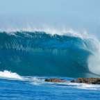 Ilha da Inhaca: Zugvögel und subtropische Strände