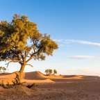 Sanddünen am Ortsrand: M’hamid