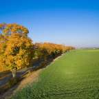 in der Weite Masurens: Allee bei Pozezdrze