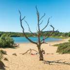Nationalpark an der Küste: Zuid-Kennemerland