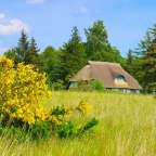 Freesenort auf Ummanz