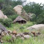 Über 1000 Jahre Bergbaugeschichte: Region um Phalaborwa