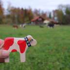 auf den Spuren des traditionellen Handwerks: Käsereilehrpfad