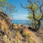 Savannenlandschaft an der Küste: Cap La Houssaye