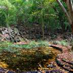 seit 2011 unter Schutz: Bras d'Eau National Park