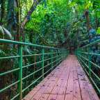 Spaziergang zwischen den Baumkronen: Mistico Park