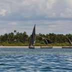 ideale Tauchbedingungen: Provinz Inhambane