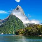 Regenwälder, Weinberge und Fjorde: Südinsel