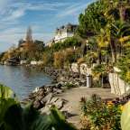 subtropische Vegetation an der Uferpromenade: Montreux