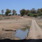 Über den Shingwedzi River im Krüger Nationalpark