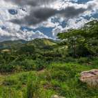 undurchdringliche Heimat der Berggorillas: Bwindi