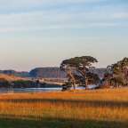 Hopkins River bei Warrnambool