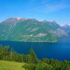 Blick vom Sætrenibba: Synnylvsfjord im Sommer