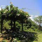 Le Jardin Du Roi Spice Garden