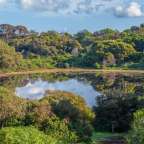 Tower Hill Wildlife Reserve