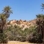 Kasbah und Oase Tiout