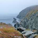 Eisberge und Wale beobachten: Quirpon Island