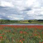 im Herzen von Seeland: Nationalpark Skjoldungernes Land